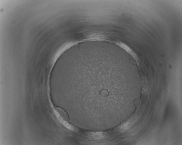 X0000062931431200601181258