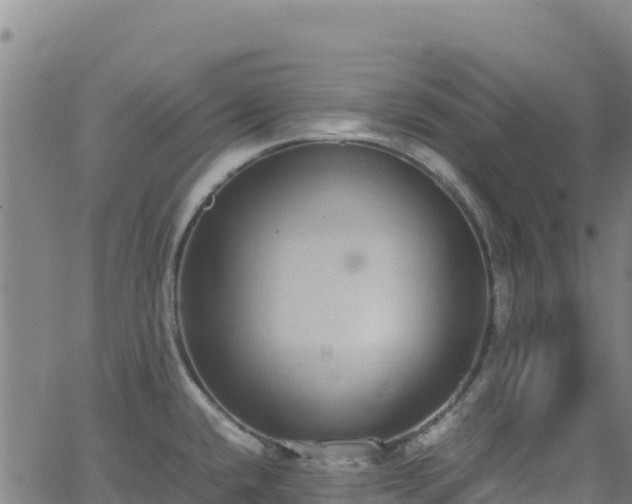 X0000062931432200601181258