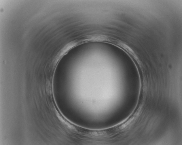 X0000062931433200601181258