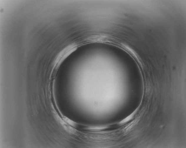 X0000062931434200601181258