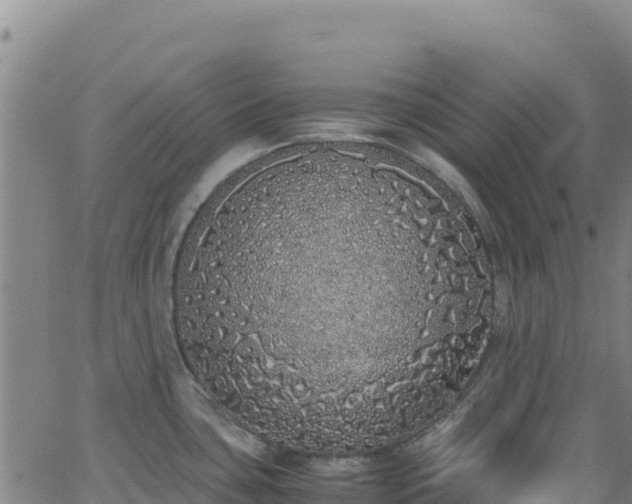 X0000062931435200601181258