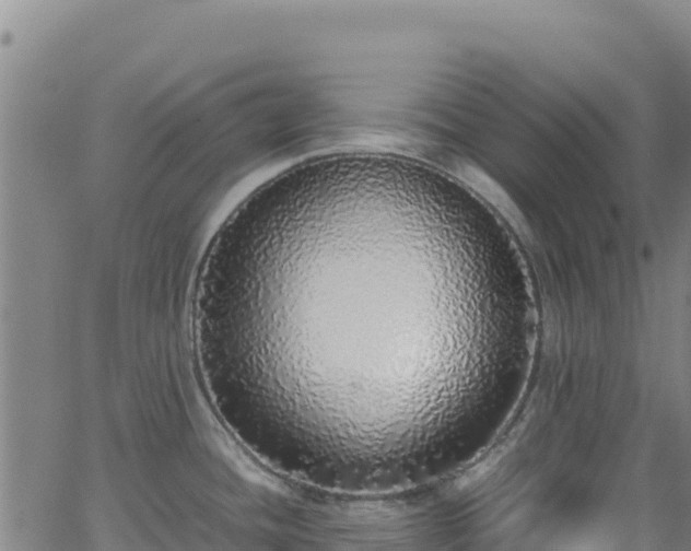 X0000062931436200601181258