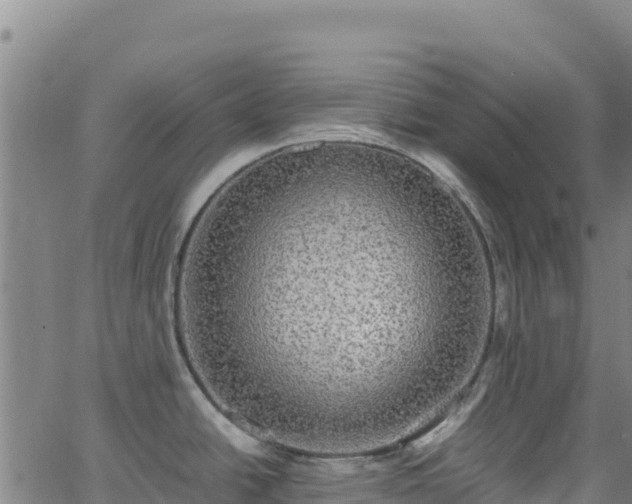 X0000062931438200601181258