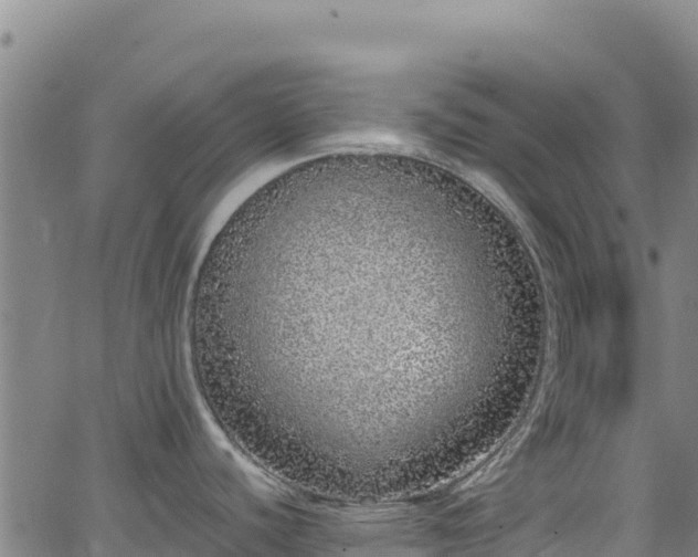 X0000062931440200601181258