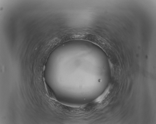 X0000062931441200601181258