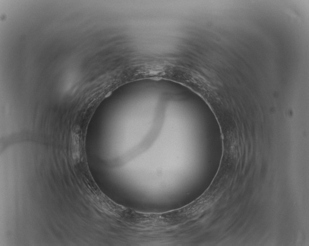 X0000062931442200601181258