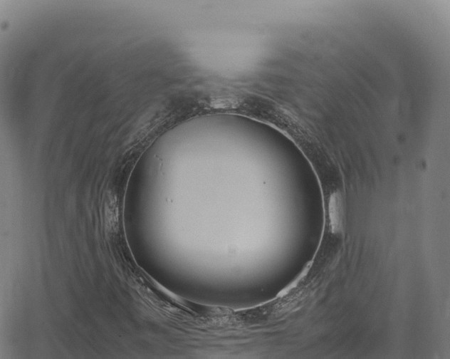 X0000062931443200601181258