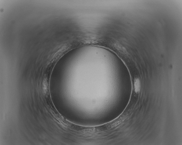 X0000062931444200601181258