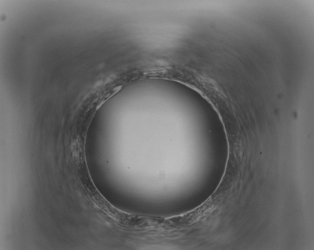 X0000062931445200601181258