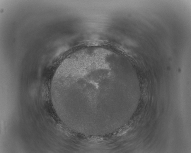 X0000062931446200601181258