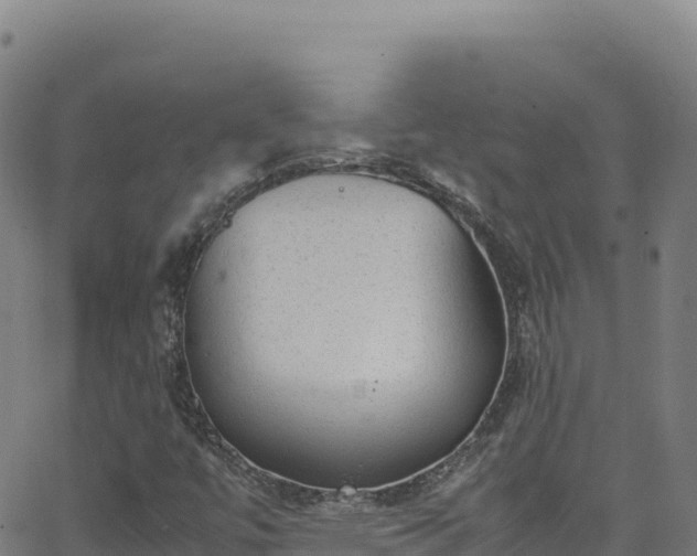 X0000062931447200601181258