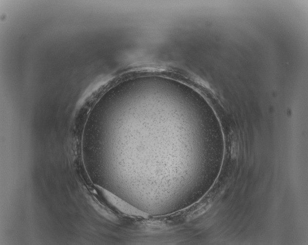 X0000062931448200601181258