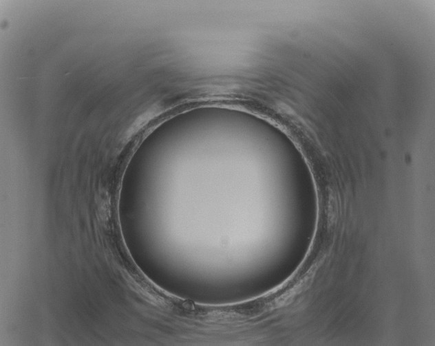 X0000062931449200601181258