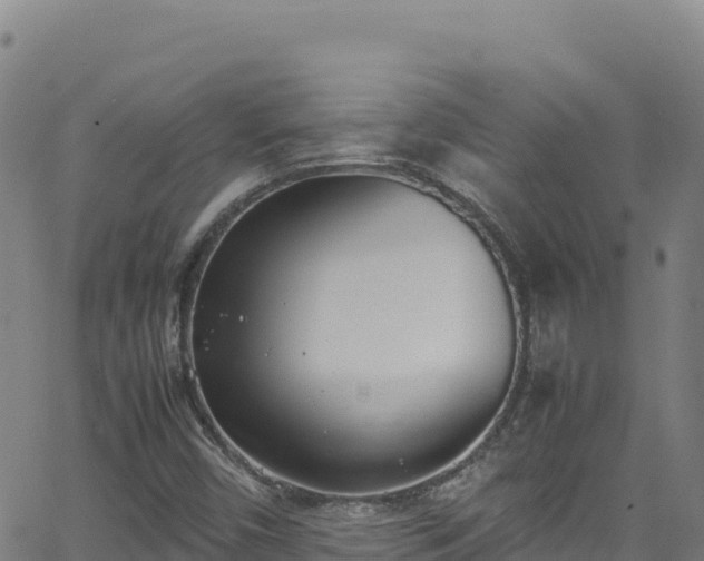 X0000062931450200601181257