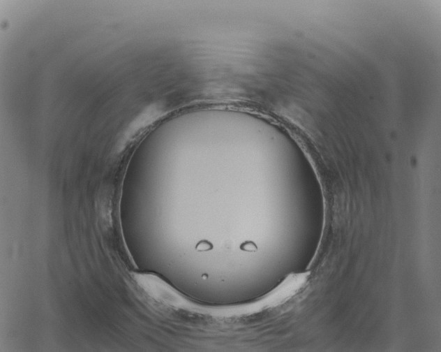 X0000062931451200601181257