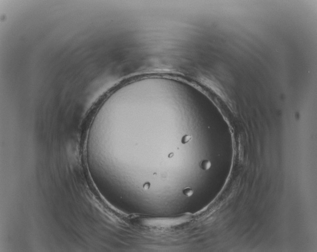 X0000062931452200601181257