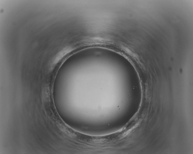 X0000062931453200601181257