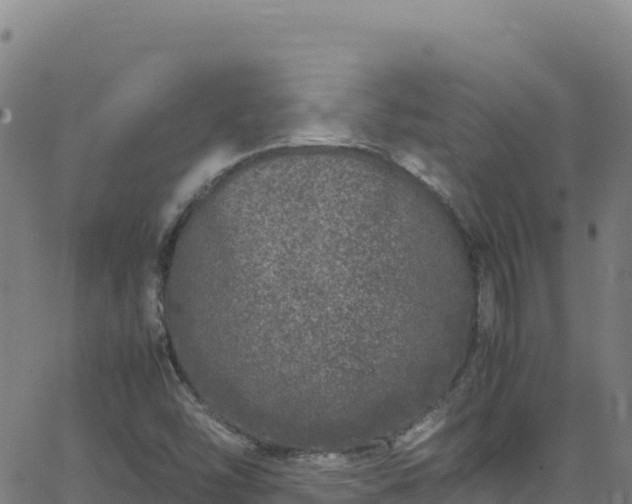 X0000062931454200601181257