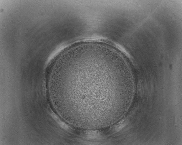 X0000062931456200601181257