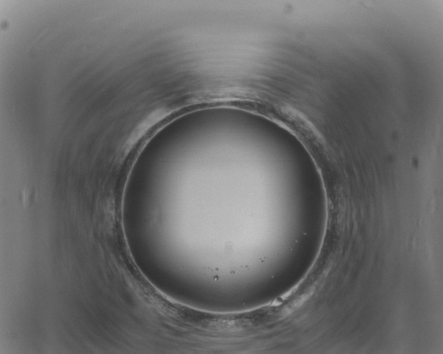 X0000062931457200601181257