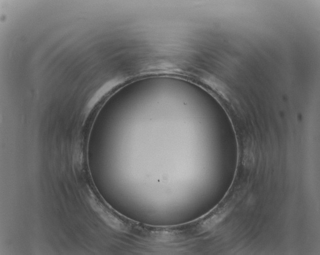 X0000062931458200601181257