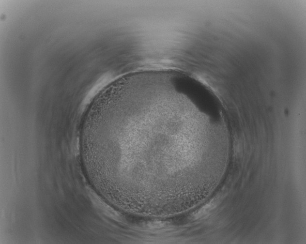 X0000062931459200601181257