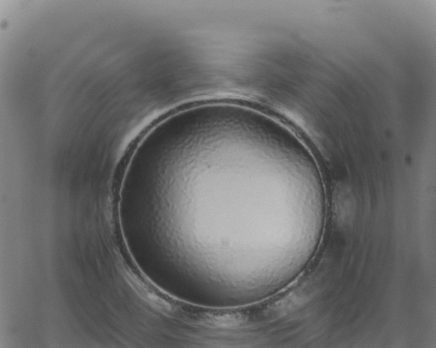 X0000062931460200601181257