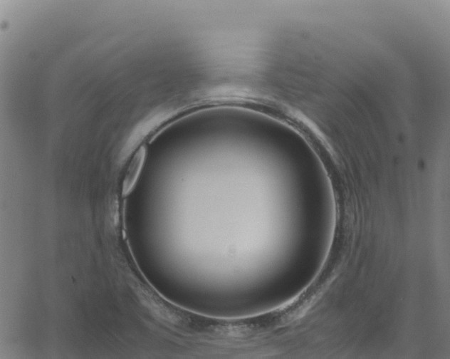 X0000062931461200601181257