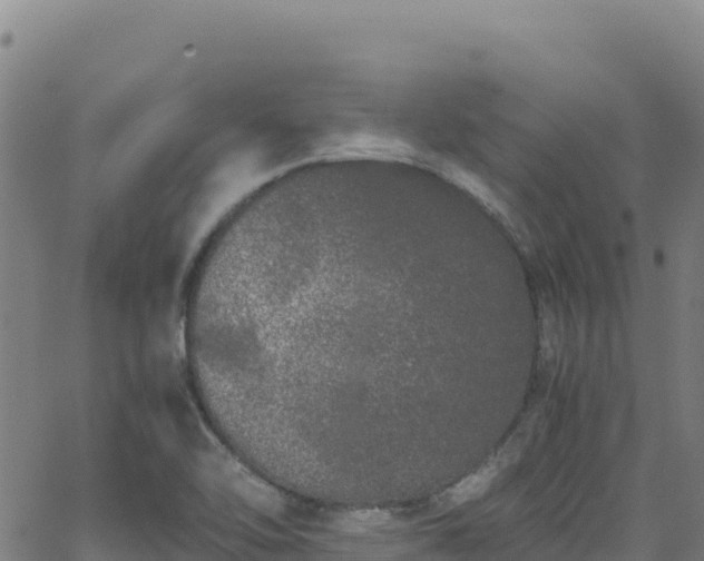 X0000062931462200601181257