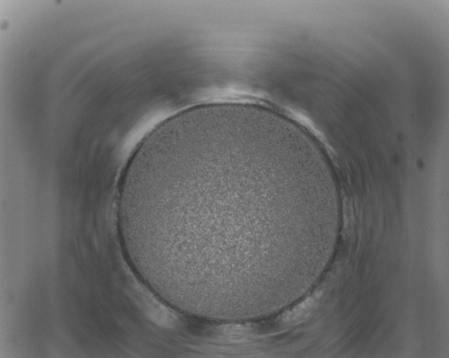 X0000062931463200601181257