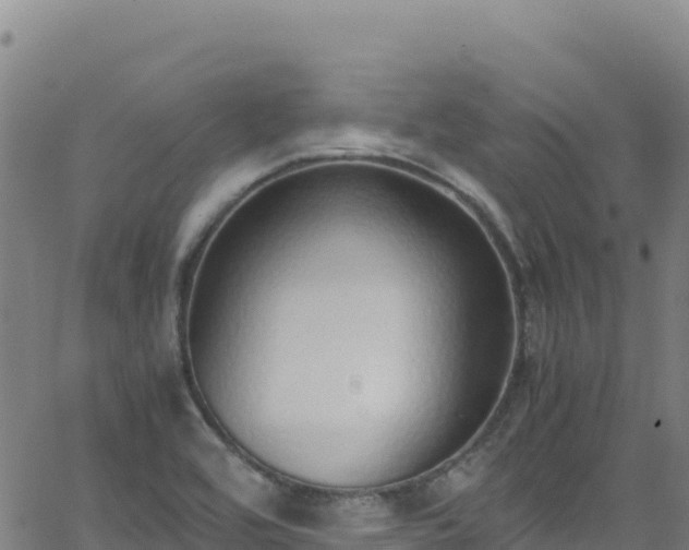 X0000062931464200601181257