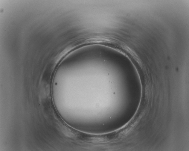 X0000062931465200601181257