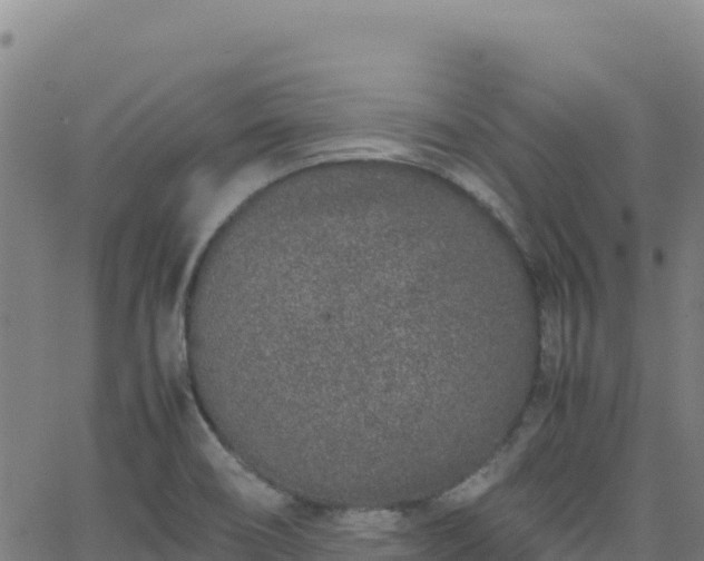 X0000062931466200601181257