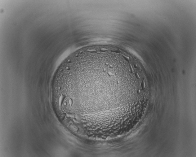 X0000062931467200601181257