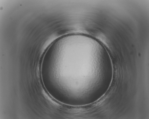 X0000062931468200601181257