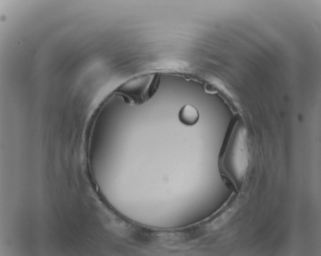 X0000062931469200601181257