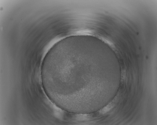 X0000062931470200601181257