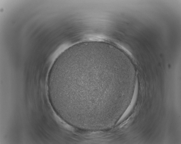 X0000062931471200601181257