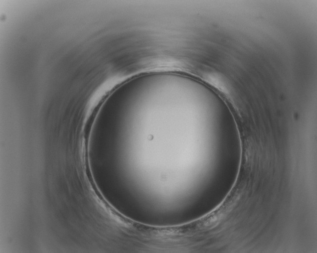 X0000062931472200601181257