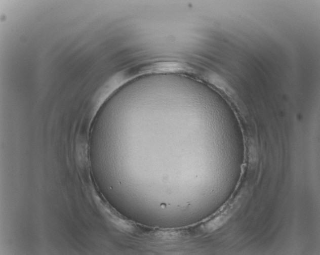 X0000062931473200601181257