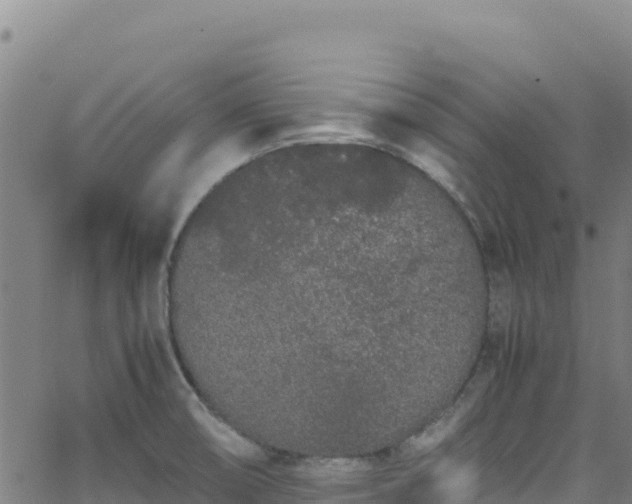 X0000062931474200601181257