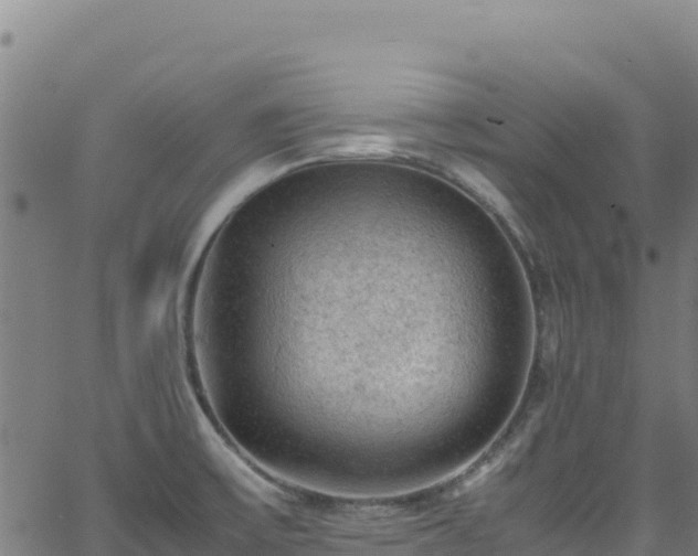 X0000062931475200601181257