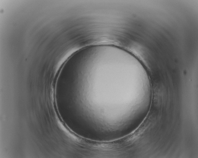 X0000062931476200601181257