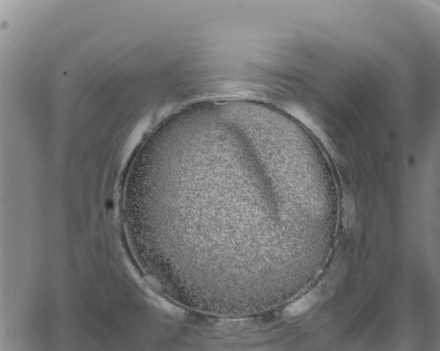 X0000062931477200601181257