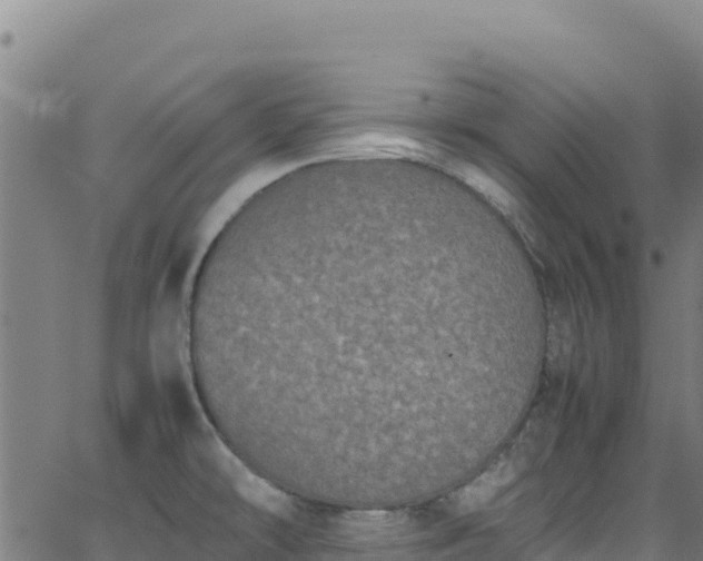 X0000062931478200601181257