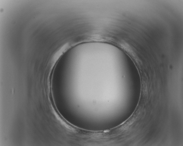 X0000062931479200601181257