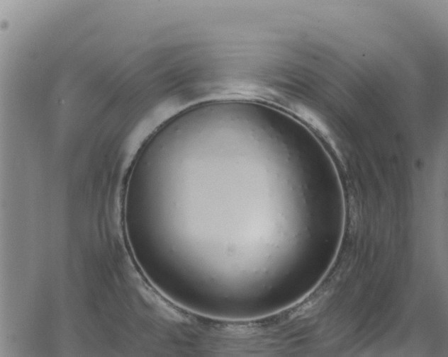 X0000062931480200601181257