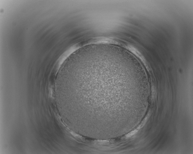 X0000062931481200601181257