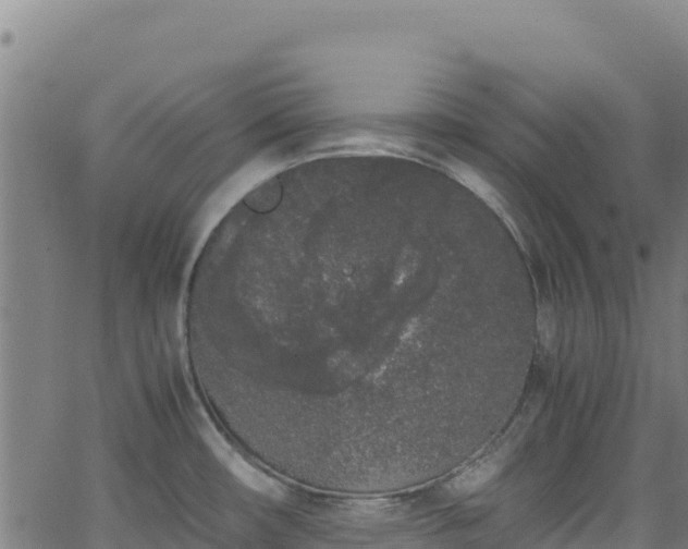 X0000062931482200601181257