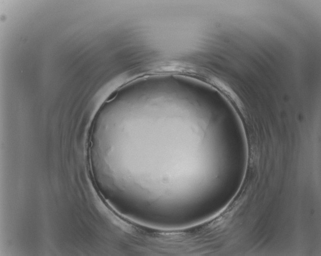 X0000062931483200601181257